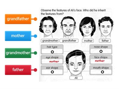 Inheritance - Year 2