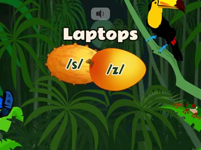 Pronunciation /S/ /Z/