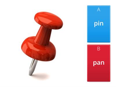 SATPIN choose the word