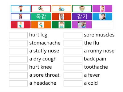 G2 L5.1 Common Ailments (흔한 병)