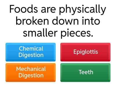 Science Digestion Quiz Practice 1