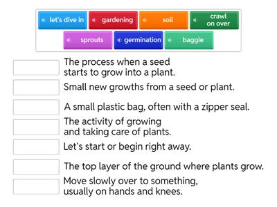 Watch a Seed Sprout! Vocab 2