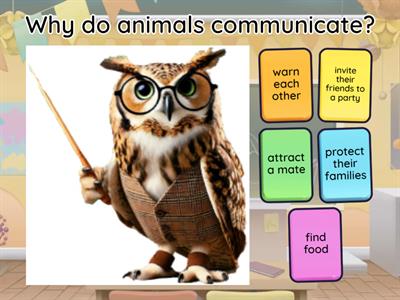 Animal Communication