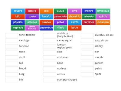 Ch. 1 Combining Forms (Part 2)