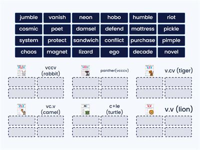 REVIEW All Syllable Division Patterns