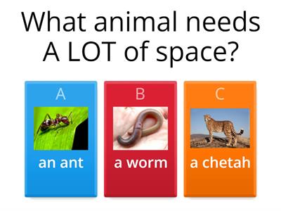  Animal Needs 