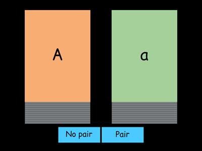 6 大文字小文字