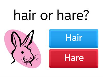 Homophones Quiz Primary