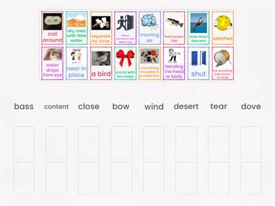 Word Meaning/Vocabulary 13