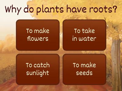 20251103 G1 How Plants Grow