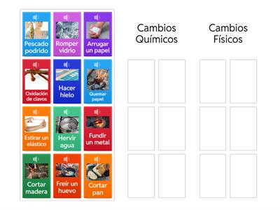 Cambios físicos y químicos.