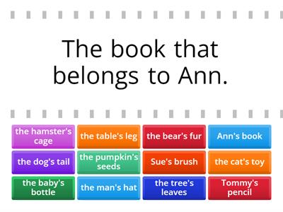 Singular Possessive Nouns