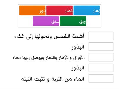 اجزاء النبات