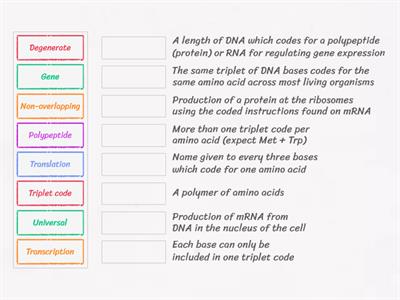 The genetic code - key terms
