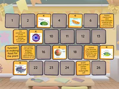 Cell Structure and Function