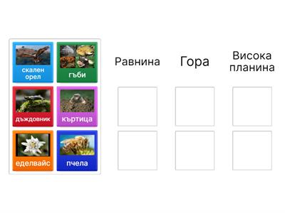 Животът на сушата