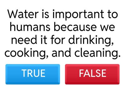 Water Cycle: True or False 