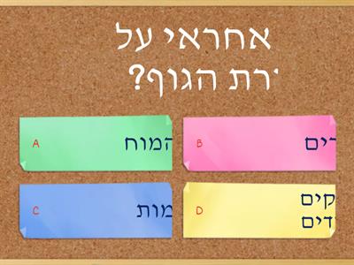 חינוך גופני 