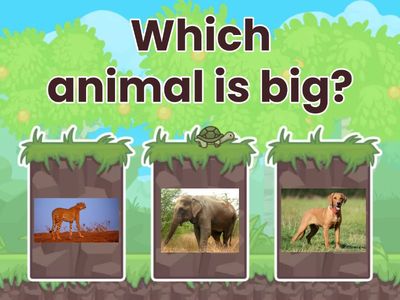 Comparative & Superlative Adjective
