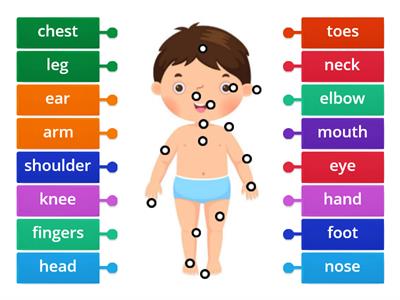 CNA Inter 1 Parts of the body 