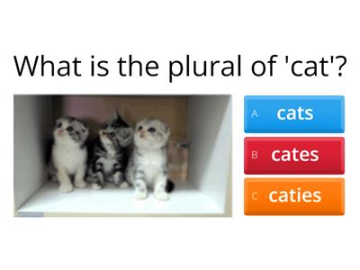 Plural nouns