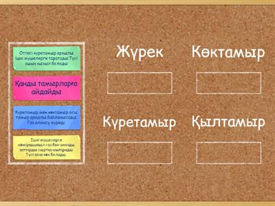 Қанайналым жүйесі