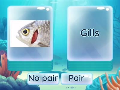 Oxford Discover 2 Unit 1