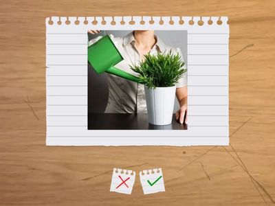 Домашние обязанности