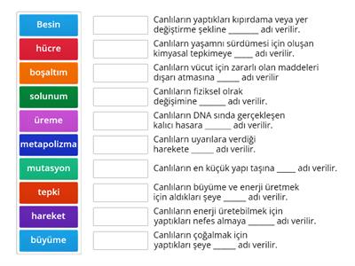 9.sınıf Canlıların ortak özellikleri 