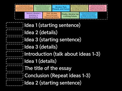 Essay structure