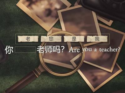 L1 -1  sentence structure