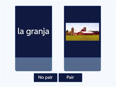 Los animales 1: pair/no pair