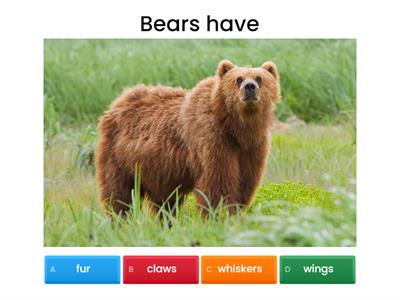 Characteristics of Alberta wild animals
