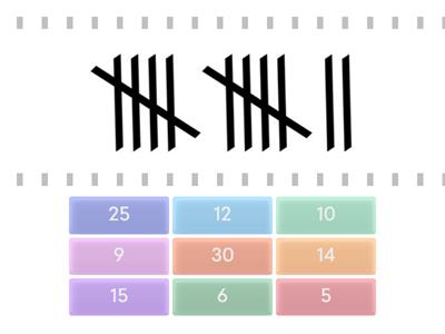 Match the tally marks
