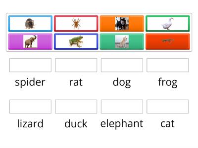 Unit 3: Pet show match up