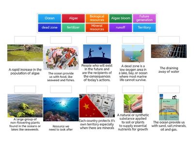 Ocean Resources