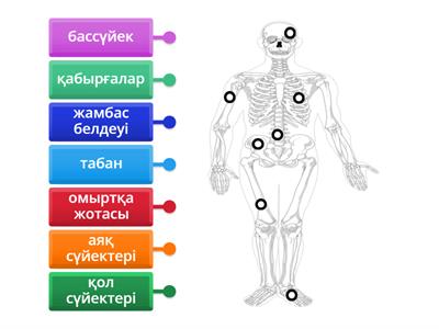 Абакандағы жыныстық қатынас үшін үйленген әйелдер