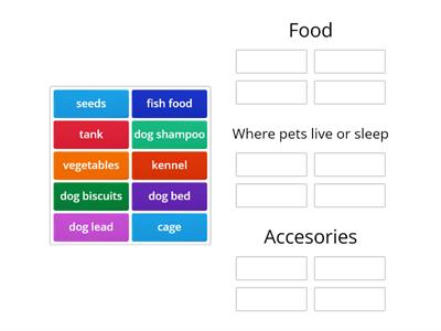 Brainy 6 unit 4 categories