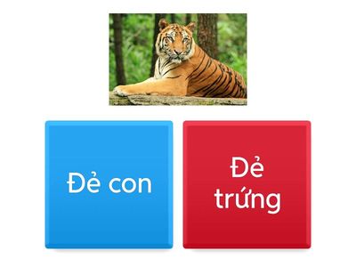 Sự sinh sản ở động vật