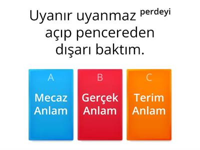  Gerçek Anlam/Mecaz Anlam/ Terim