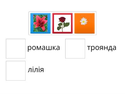 Дошкільна освіта 