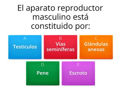 Actividad Anatomía 