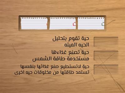 العلاقات في الأنظمة البيئية 