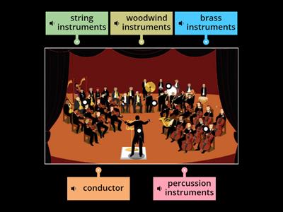 Parts of an orchestra 