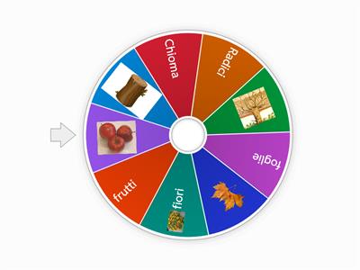 Le parti di una pianta