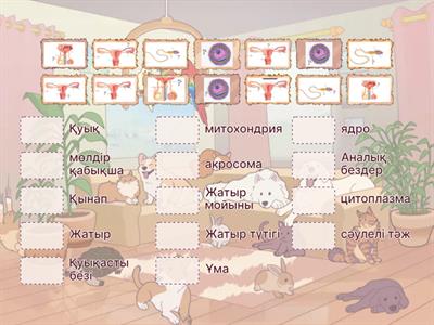 Қара стюардессалармен порно