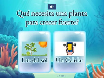 “La luz del sol despierta la vida”