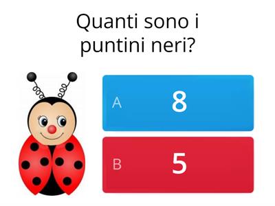 Numeri e quantità