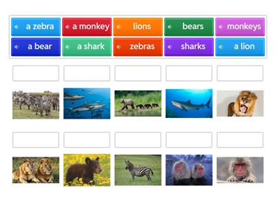 Singular - Plural:  Wild Animals 1