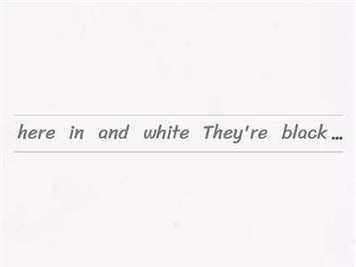 Making decisions functional language
